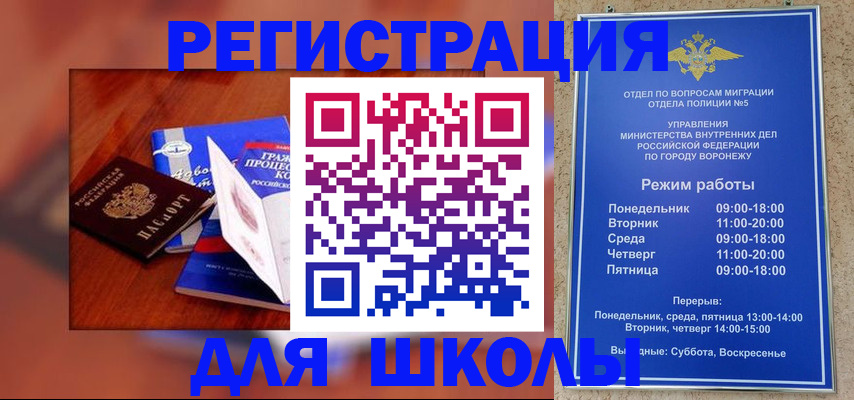 прописка для работы в Новозыбкове